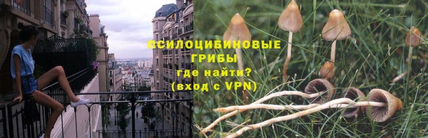 эйфоретик Алексин
