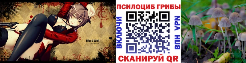Галлюциногенные грибы MAGIC MUSHROOMS  Тотьма 