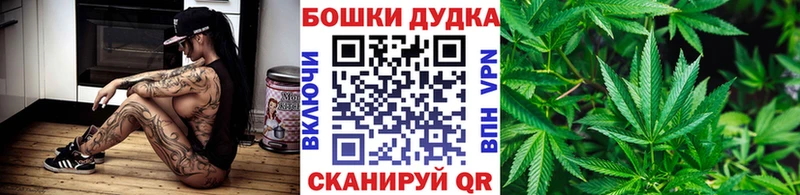 блэк спрут ТОР  Тотьма  Каннабис сатива 